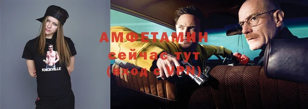 шишки Алексеевка
