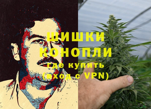 spice Алзамай