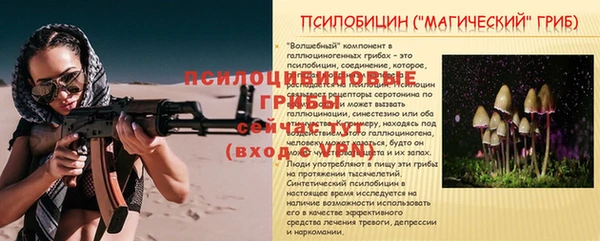 шишки Алексеевка